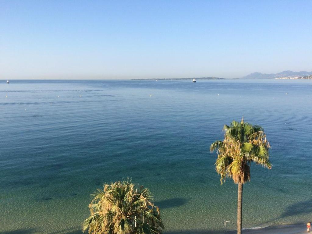 Charmant 2P Vue Mer Face Au Port De Golfe Juan المظهر الخارجي الصورة